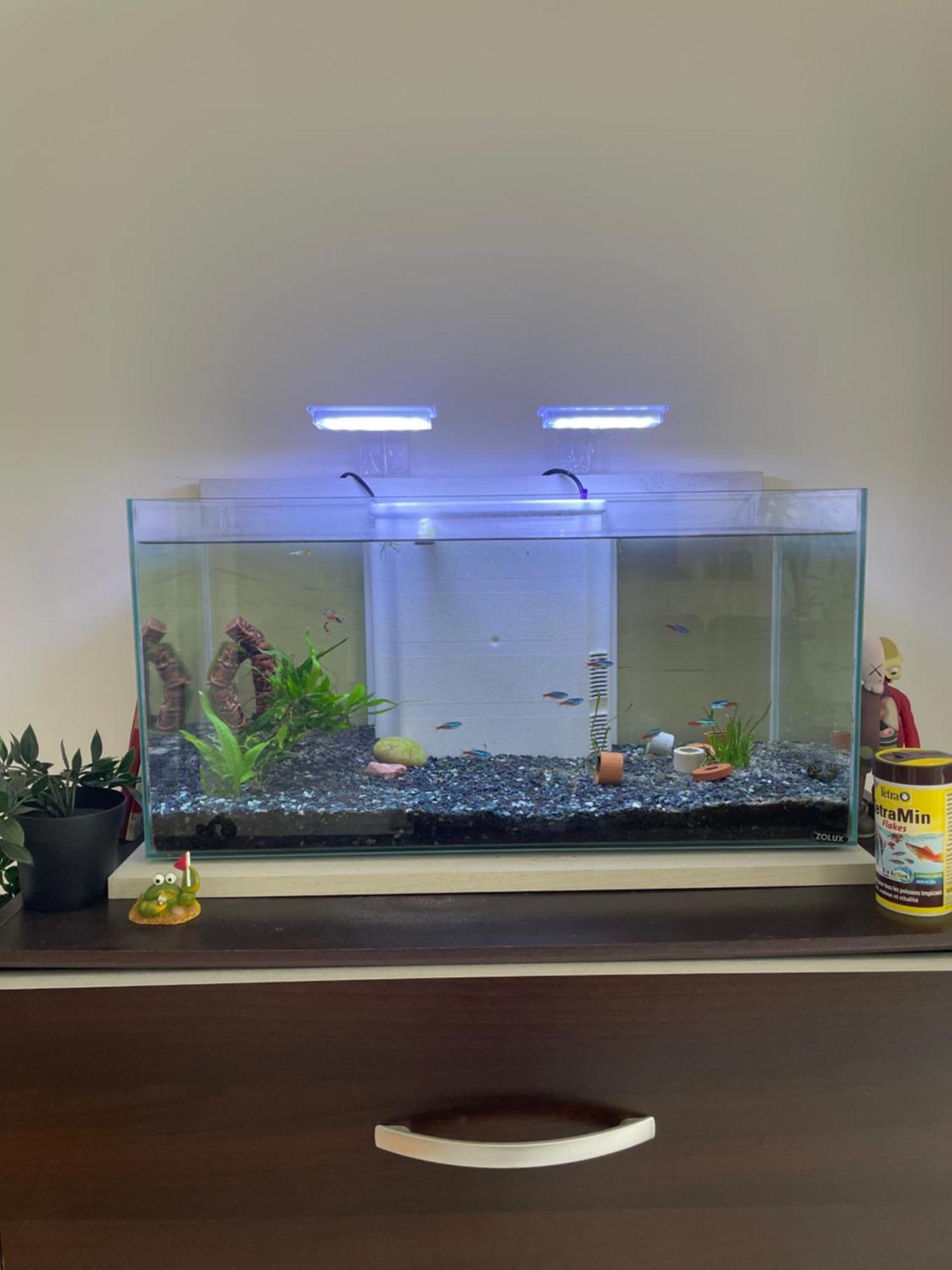 Appartement De Luca Saint-André-de-Cubzac Zewnętrze zdjęcie